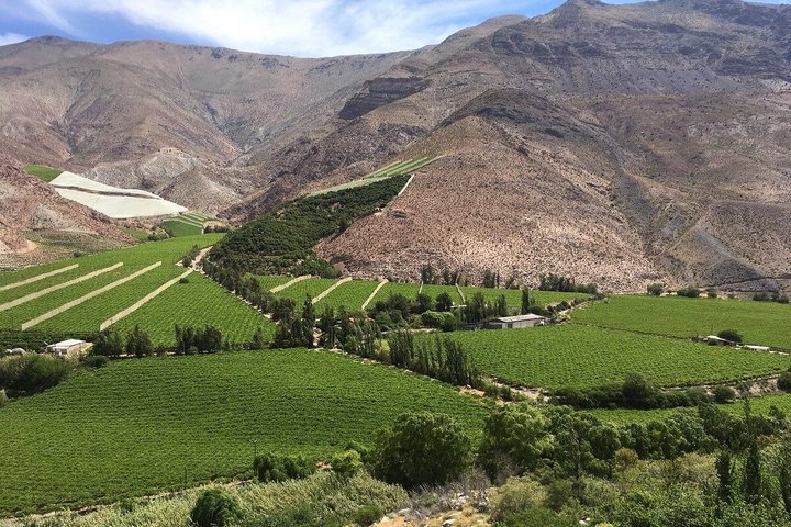 Tour al Valle del Elqui con degustación y almuerzo de pisco