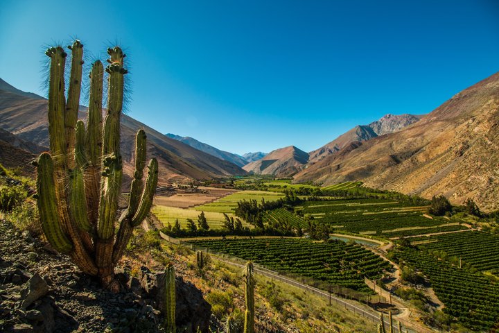 Tour al Valle del Elqui con degustación y almuerzo de pisco