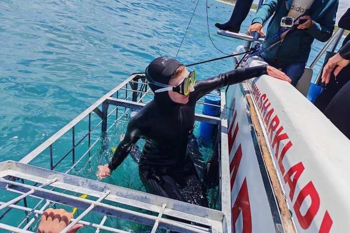 Haaienkooi Duiken met gratis lucht in kooi vanuit Gansbaai
