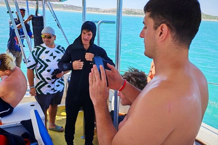 Haaienkooi Duiken met gratis lucht in kooi vanuit Gansbaai