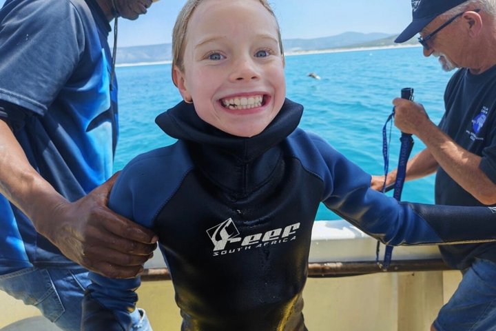 Haaienkooi Duiken met gratis lucht in kooi vanuit Gansbaai