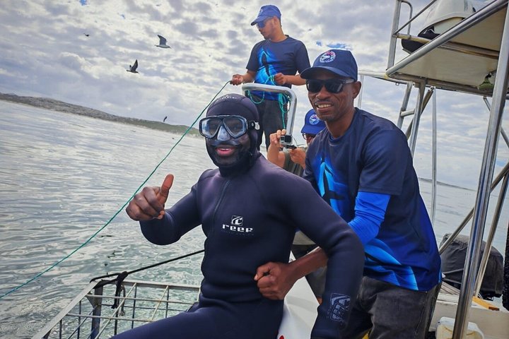 Haaienkooi Duiken met gratis lucht in kooi vanuit Gansbaai