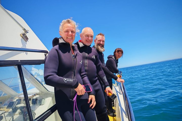 Haaienkooi Duiken met gratis lucht in kooi vanuit Gansbaai