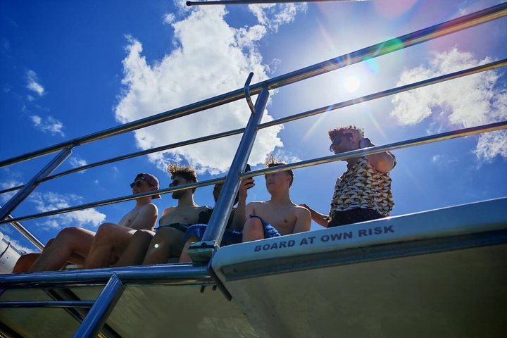 Haaienkooi Duiken met gratis lucht in kooi vanuit Gansbaai