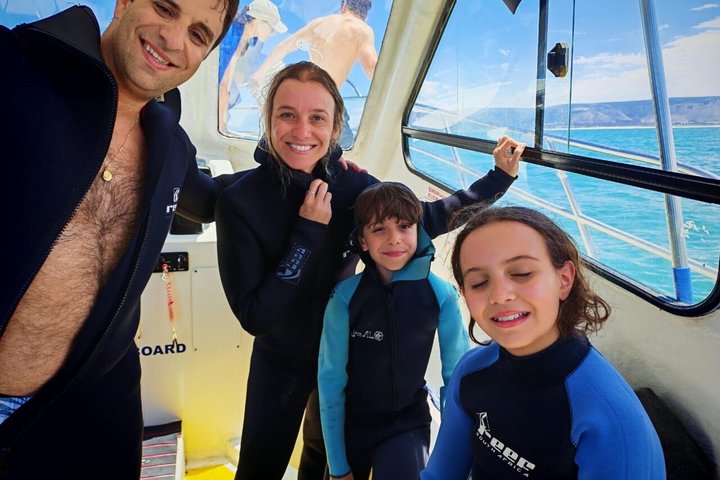 Haaienkooi Duiken met gratis lucht in kooi vanuit Gansbaai