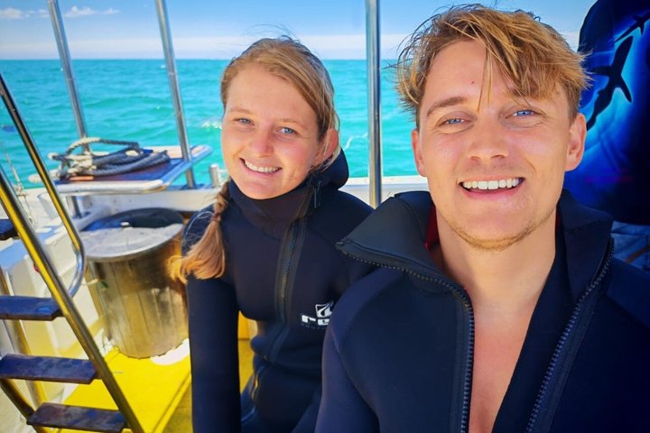 Haaienkooi Duiken met gratis lucht in kooi vanuit Gansbaai