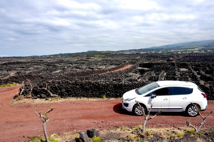 Tour privato del vino di Pico Island con degustazioni