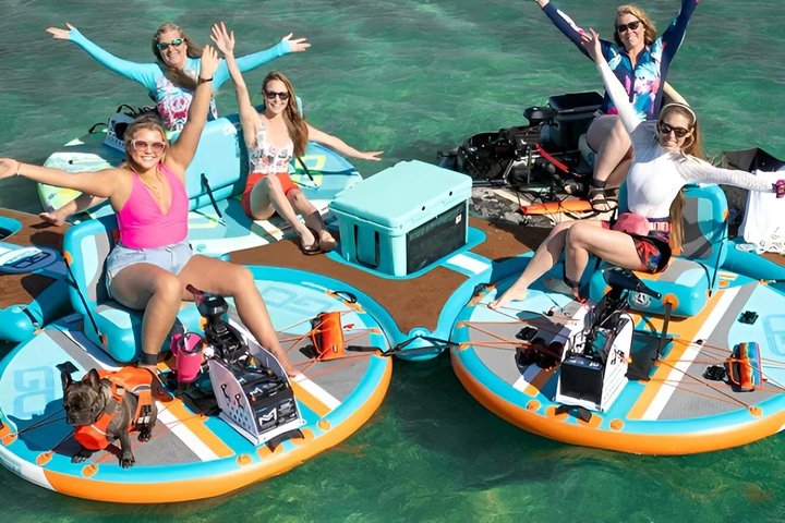 Hoteller i nærheden af Chattanooga Electric Boat Rental Scenic River Adventure