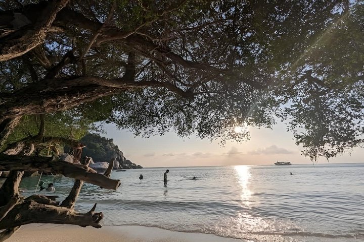 Koh Tao Scenic Road Trip naar 8 iconische uitzichtpunten