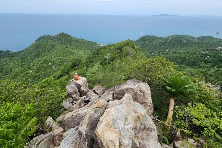 Koh Tao Scenic Road Trip naar 8 iconische uitzichtpunten