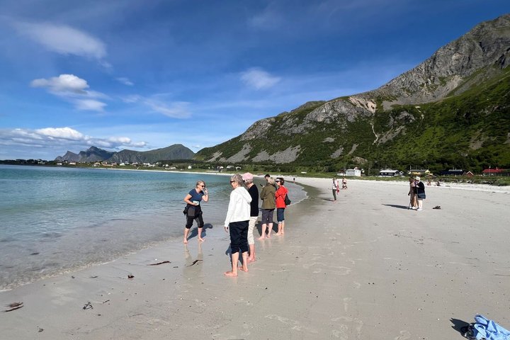 Lofoten Shore Excursie vanuit Leknes : Reine, Hamnøy & Å