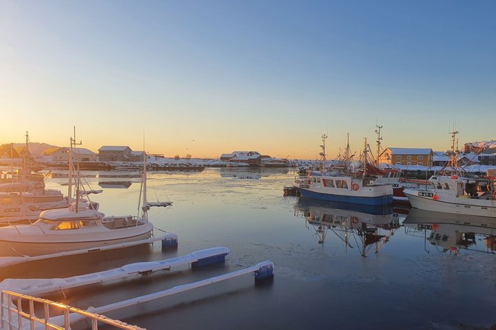 Lofoten Shore Excursie vanuit Leknes : Reine, Hamnøy & Å