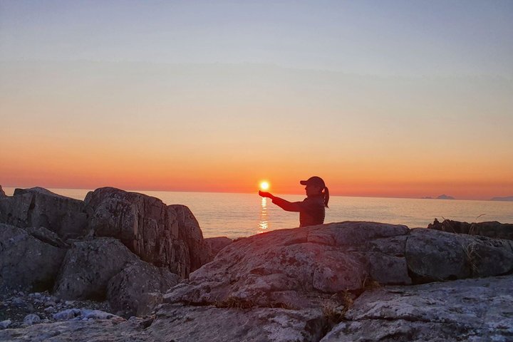 Lofoten Shore Excursie vanuit Leknes : Reine, Hamnøy & Å