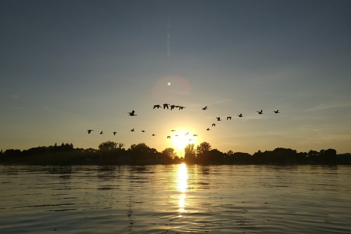 Explore Potsdam Wannsee en barco (de 1 a 8 personas, no se requiere licencia).