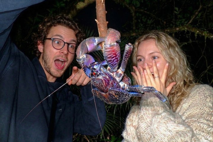 Okinawa Miyako Sternennacht Dschungel- und Wildtiertour mit Abholung