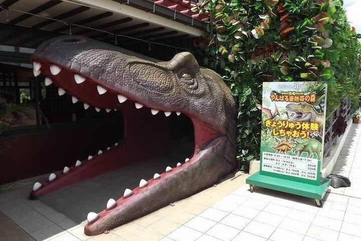 Ha kul i Okinawa 1 vecka Frikort
