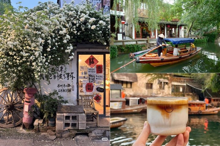 Gita privata di un giorno a Suzhou da Shanghai con treno Bullet