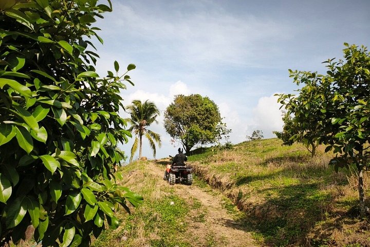 Koh Samui ATV Quad Bike Tour - Aventura todoterreno en la selva