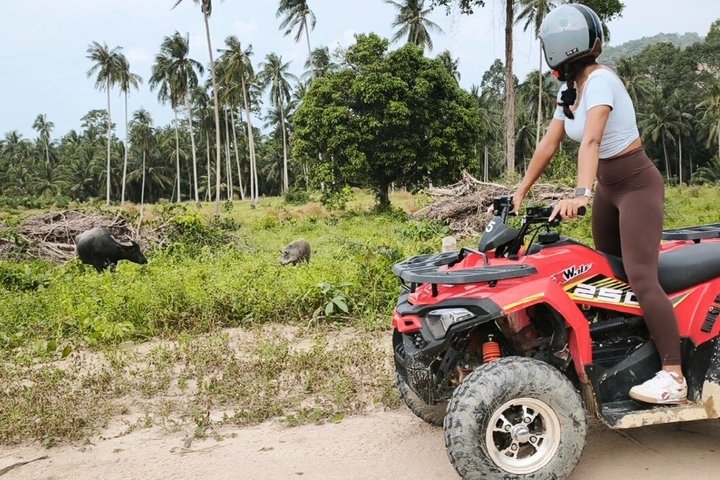 Koh Samui ATV Quad Bike Tour - Aventura todoterreno en la selva