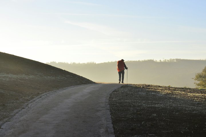 Camino de Santiago Sarria a Santiago Tour de 6 a 7 días
