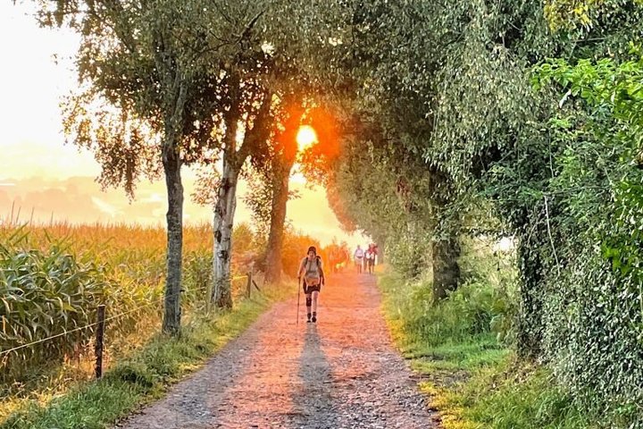 Camino de Santiago Sarria a Santiago Tour de 6 a 7 días