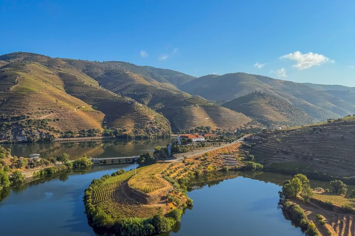 Melhor do Douro num Dia: Barco, Vinho e Almoço Familiar