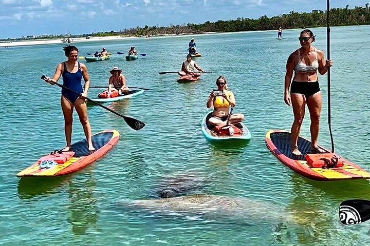 Daytona Beach Delfin & Seekühe Tour – Paddleboard oder Kajak