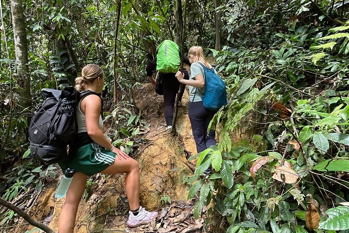 Bukit Lawang 3D2N Deep Orangutan Trek All Inclusive från Medan