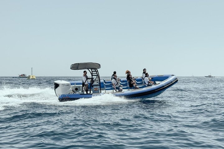 Kystutflukt med hvalsafari på øya La Palma
