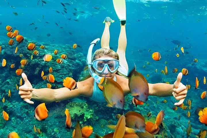 Zanzibar Mnemba Island Avventura di snorkeling e osservazione dei delfini