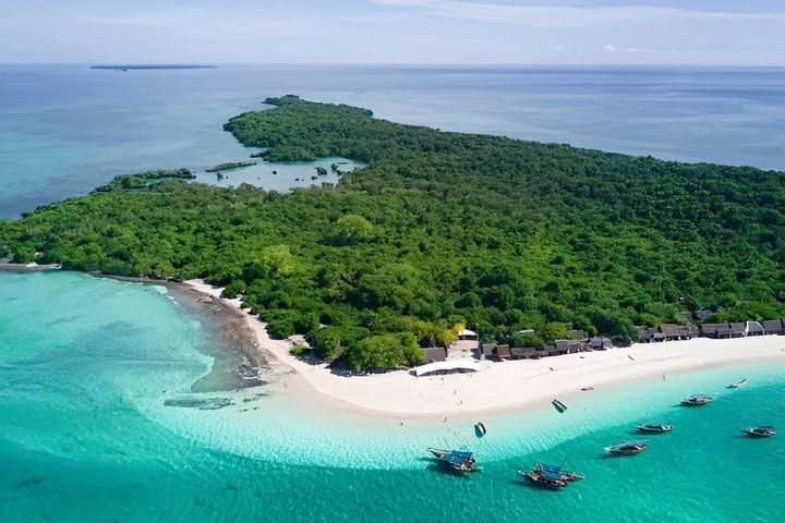 Zanzibar Mnemba Island Avventura di snorkeling e osservazione dei delfini
