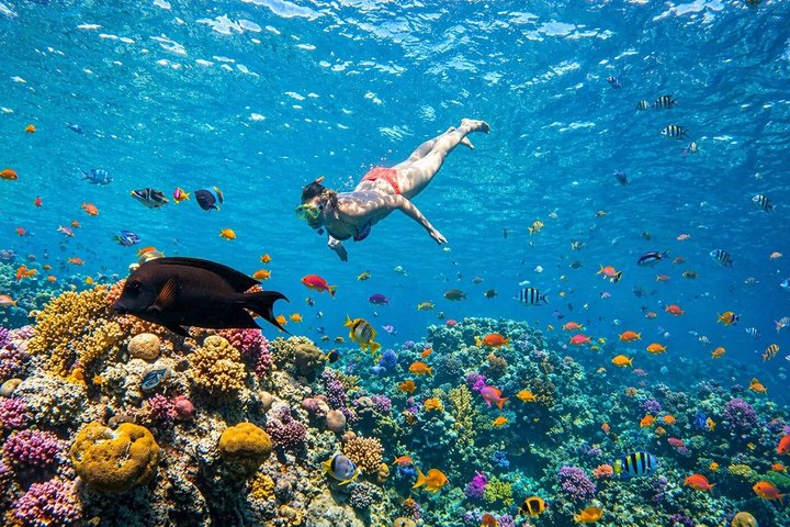 Hurghada: VIP Seafood Yacht till 3 öar, delfiner och snorkling