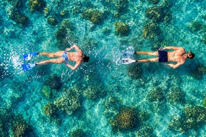 Hurghada: VIP Seafood Yacht till 3 öar, delfiner och snorkling