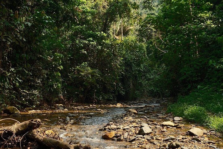 Bukit Lawang 3D2N Deep Orangutan Trek All Inclusive från Medan