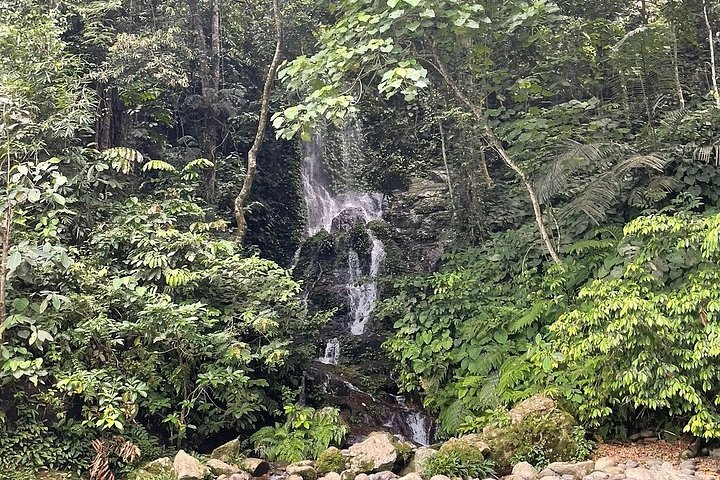 Bukit Lawang 3D2N Deep Orangutan Trek All Inclusive från Medan