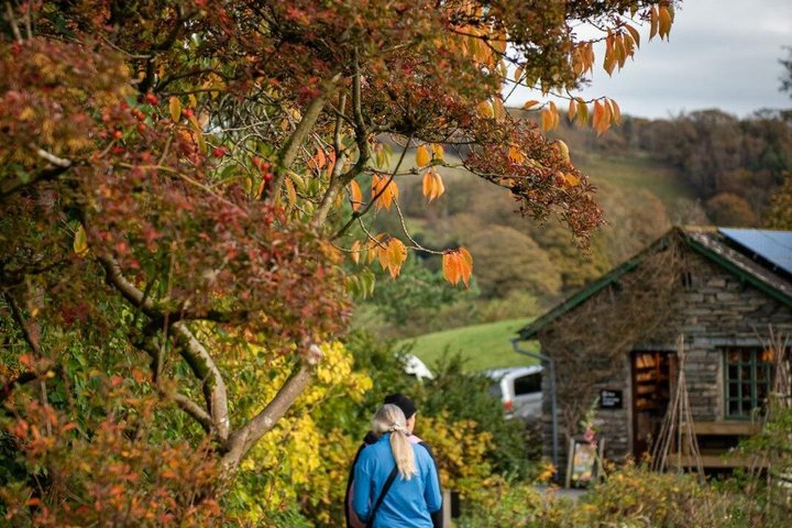 Beatrix Potter's Halve dag Lake District Tour inclusief Lake Cruise