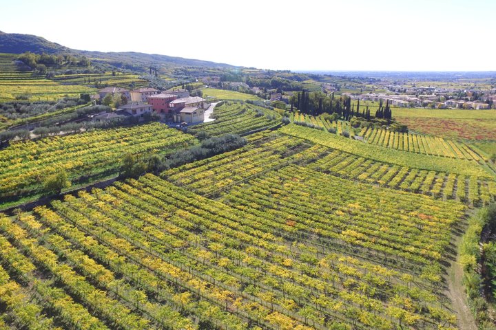 Amarone Della Valpolicella vinopplevelse - Møt Vogadori-familien