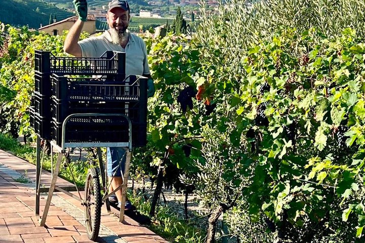 Amarone Della Valpolicella vinopplevelse - Møt Vogadori-familien