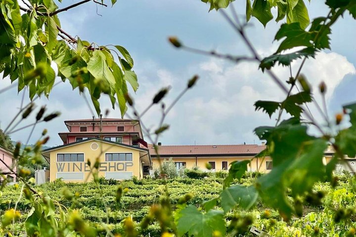 Amarone Della Valpolicella vinopplevelse - Møt Vogadori-familien