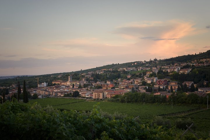 Amarone Della Valpolicella vinopplevelse - Møt Vogadori-familien