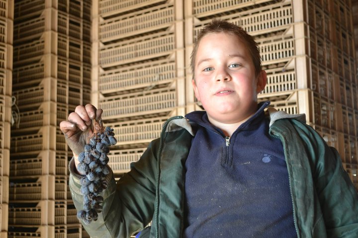 Amarone Della Valpolicella vinopplevelse - Møt Vogadori-familien