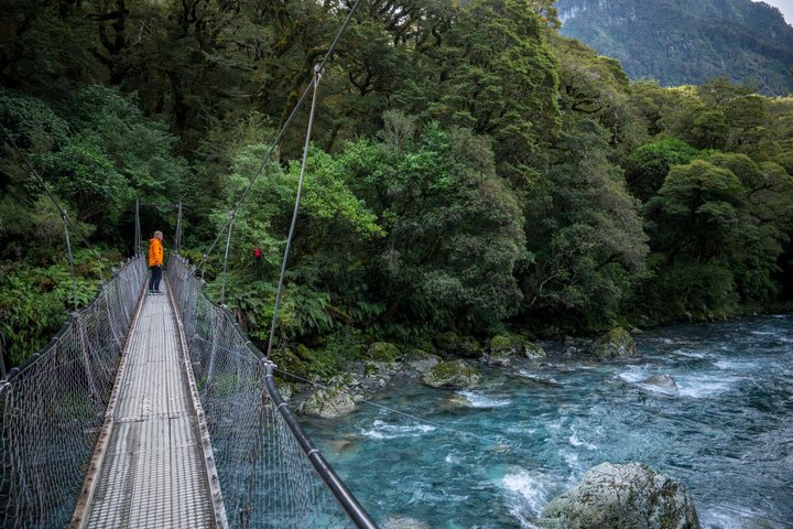Tour di Milford Sound di un'intera giornata con crociera e passeggiate da Te Anau