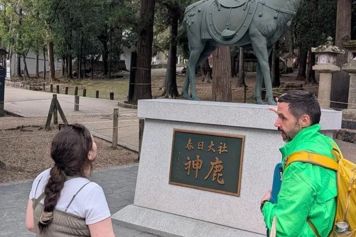 Nara (in het Spaans): privétour met ophaalservice in Osaka of Kyoto.