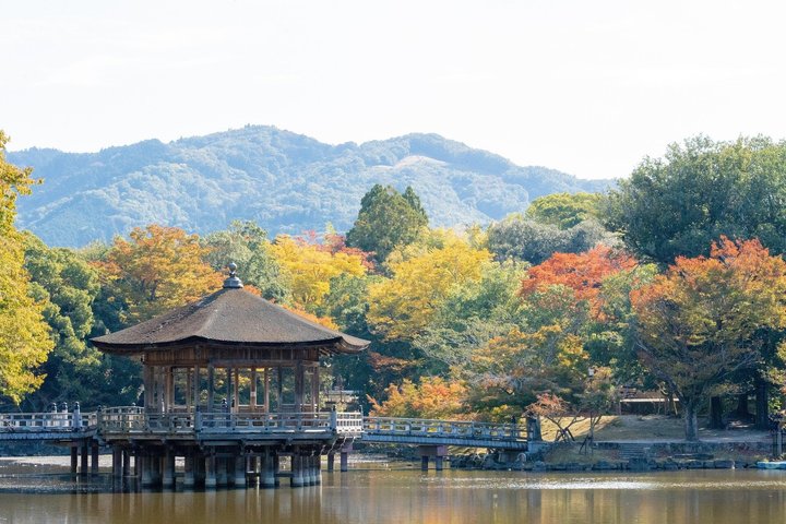 Nara (in het Spaans): privétour met ophaalservice in Osaka of Kyoto.