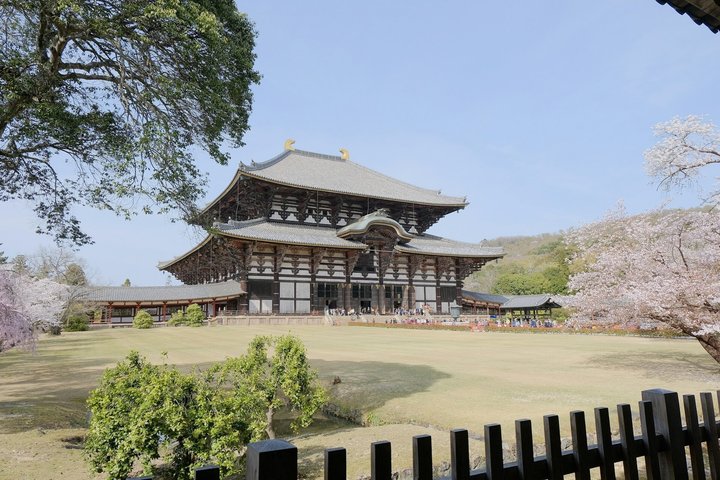 Nara (in het Spaans): privétour met ophaalservice in Osaka of Kyoto.