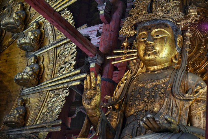 Nara (in het Spaans): privétour met ophaalservice in Osaka of Kyoto.