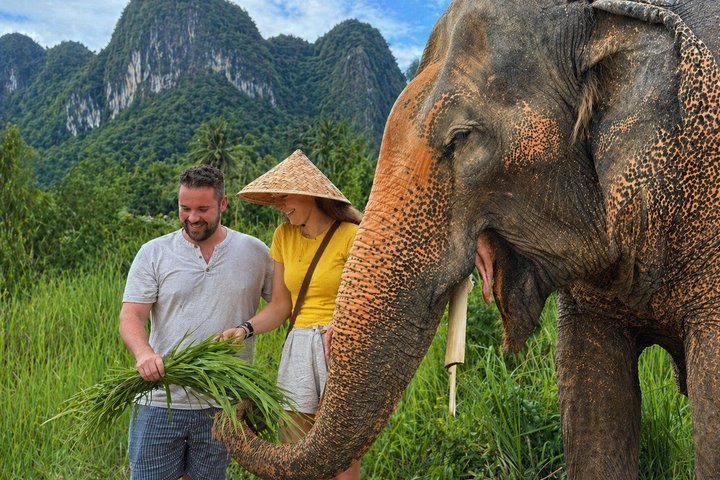 Koh Samui : Elephant Nature Care, il più grande santuario degli elefanti
