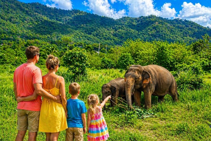 Koh Samui : Elephant Nature Care, il più grande santuario degli elefanti