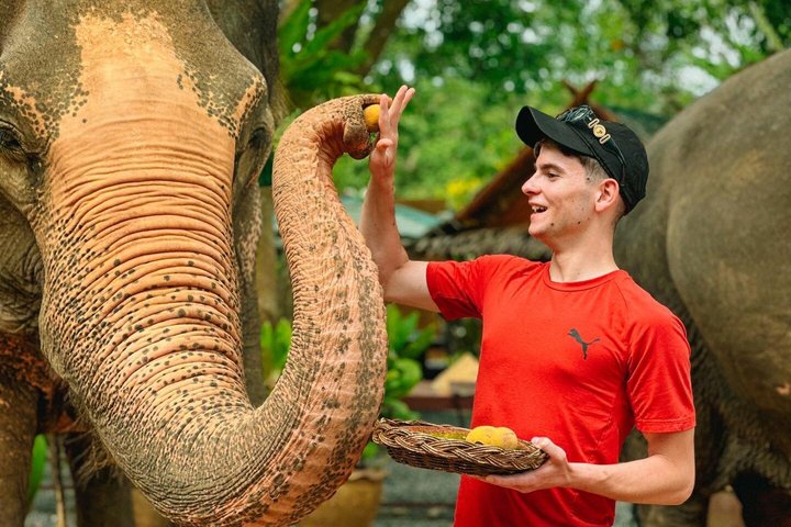 Koh Samui : Elephant Nature Care, il più grande santuario degli elefanti