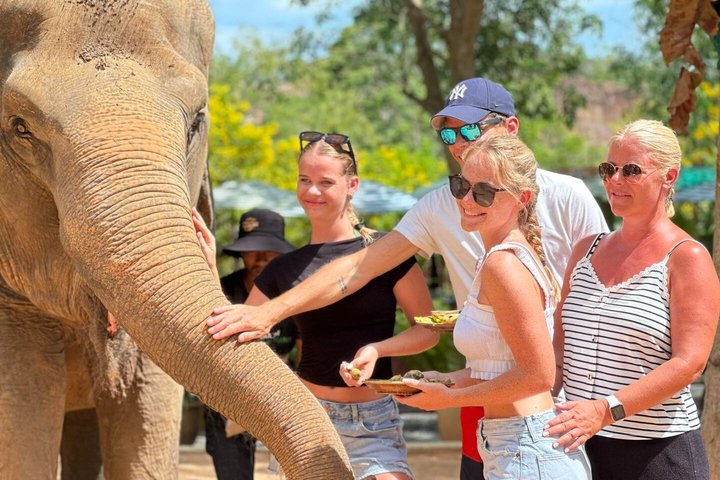 Koh Samui : Elephant Nature Care, il più grande santuario degli elefanti